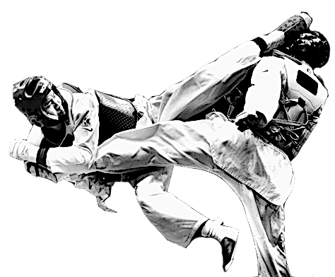 TAEKWONDO